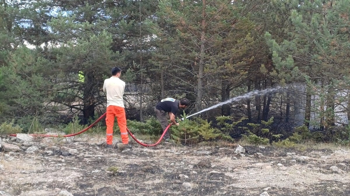 Bolu’da orman yangını kontrol altına alındı