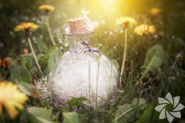 Yaşar Kemal sözleri