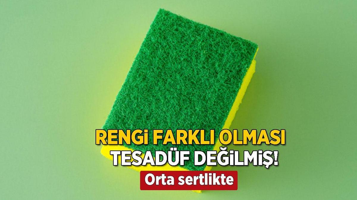 Yeşili, sarısı, mavisi var! Meğer tesadüf değilmiş, her süngerin amacı farklı